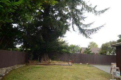 Photo 36