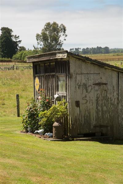 Photo 43