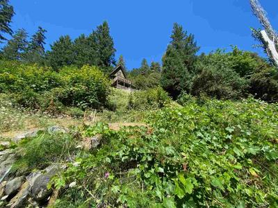 Photo 44