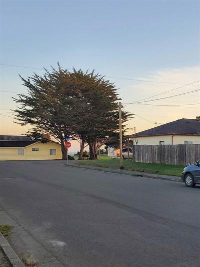 Photo 35