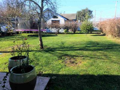 Photo 24