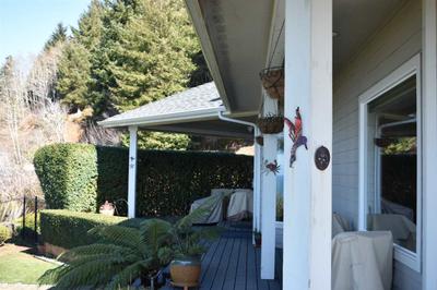 Photo 38