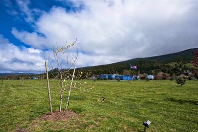 Photo 38
