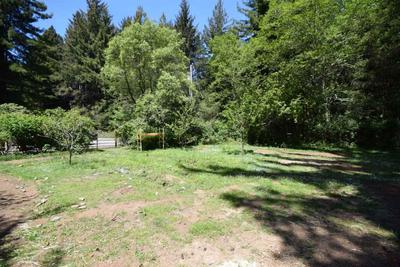 Photo 33