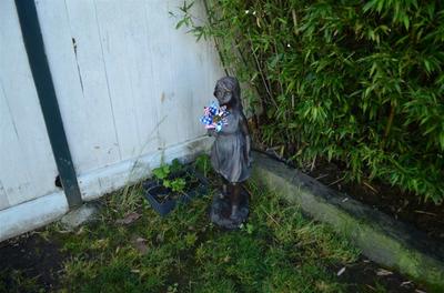 Photo 41