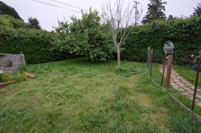 Photo 30