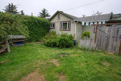 Photo 38