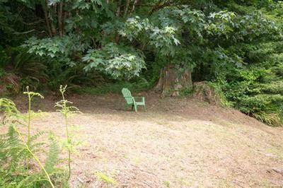 Photo 39