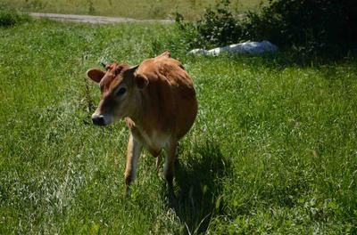 Photo 24
