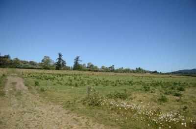 Photo 35