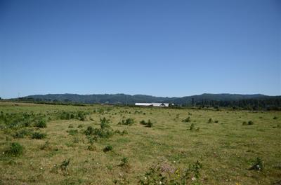 Photo 36