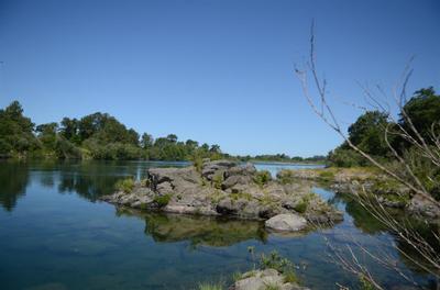 Photo 43