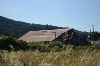 Photo 45