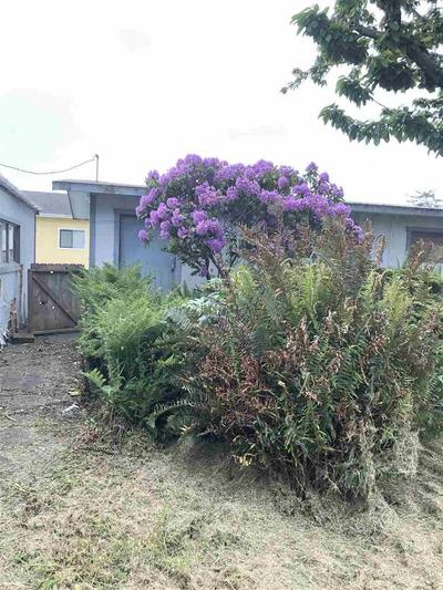 Photo 44