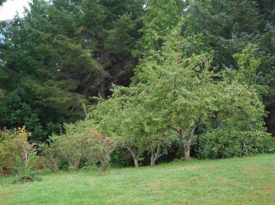 Photo 27