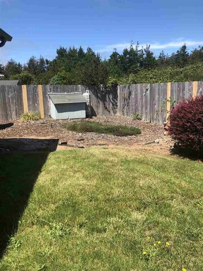 Photo 35