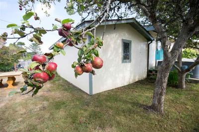 Photo 40