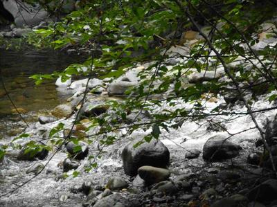 Photo 31