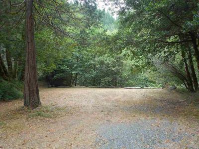 Photo 37