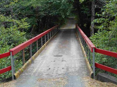 Photo 44