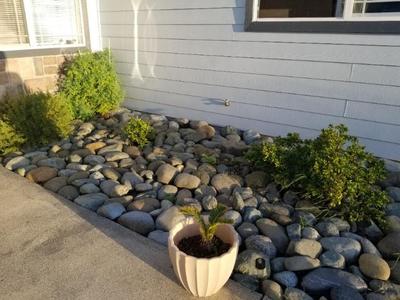 Photo 35