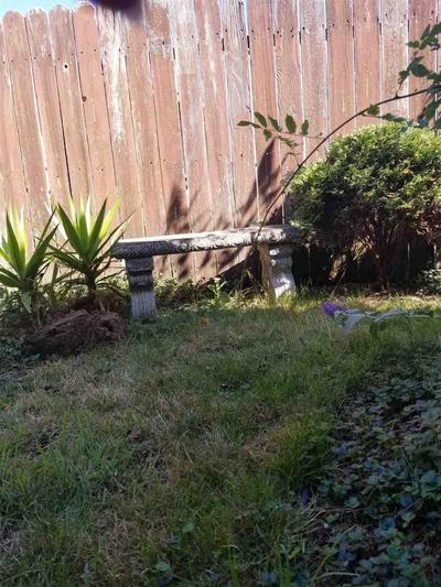 Photo 32
