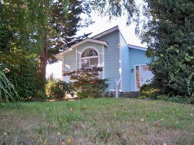 Photo 45