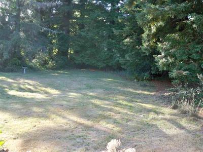 Photo 32