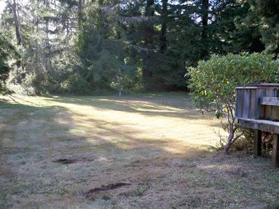 Photo 33