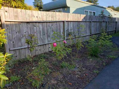 Photo 35