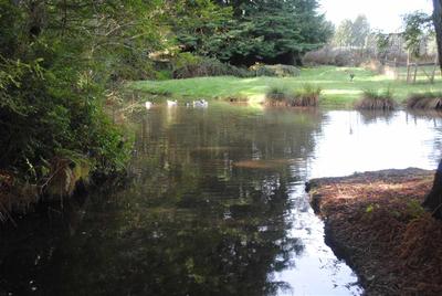 Photo 44