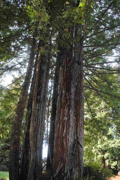 Photo 46