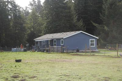 Photo 48