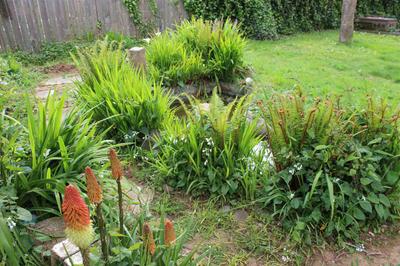 Photo 25
