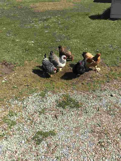 Photo 27