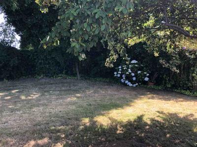 Photo 32