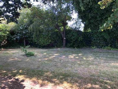 Photo 33
