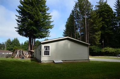 Photo 46