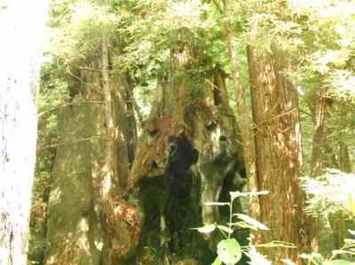 Photo 32
