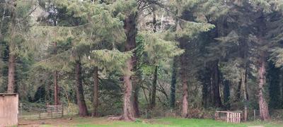 Photo 43