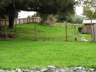 Photo 27