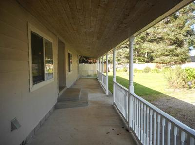 Photo 35