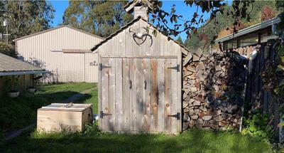 Photo 42