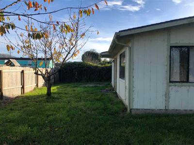 Photo 31