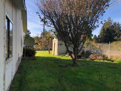 Photo 35