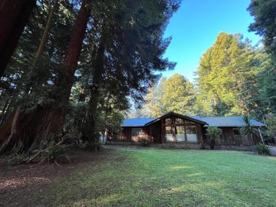 Photo 43