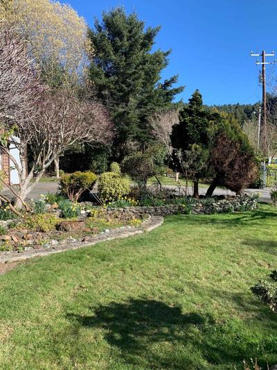 Photo 34