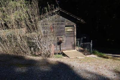 Photo 41
