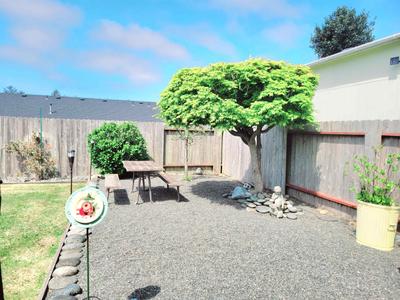 Photo 39