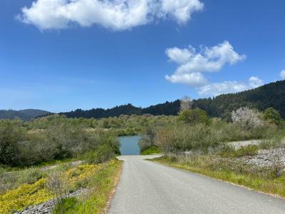 Photo 44